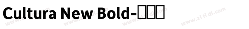Cultura New Bold字体转换